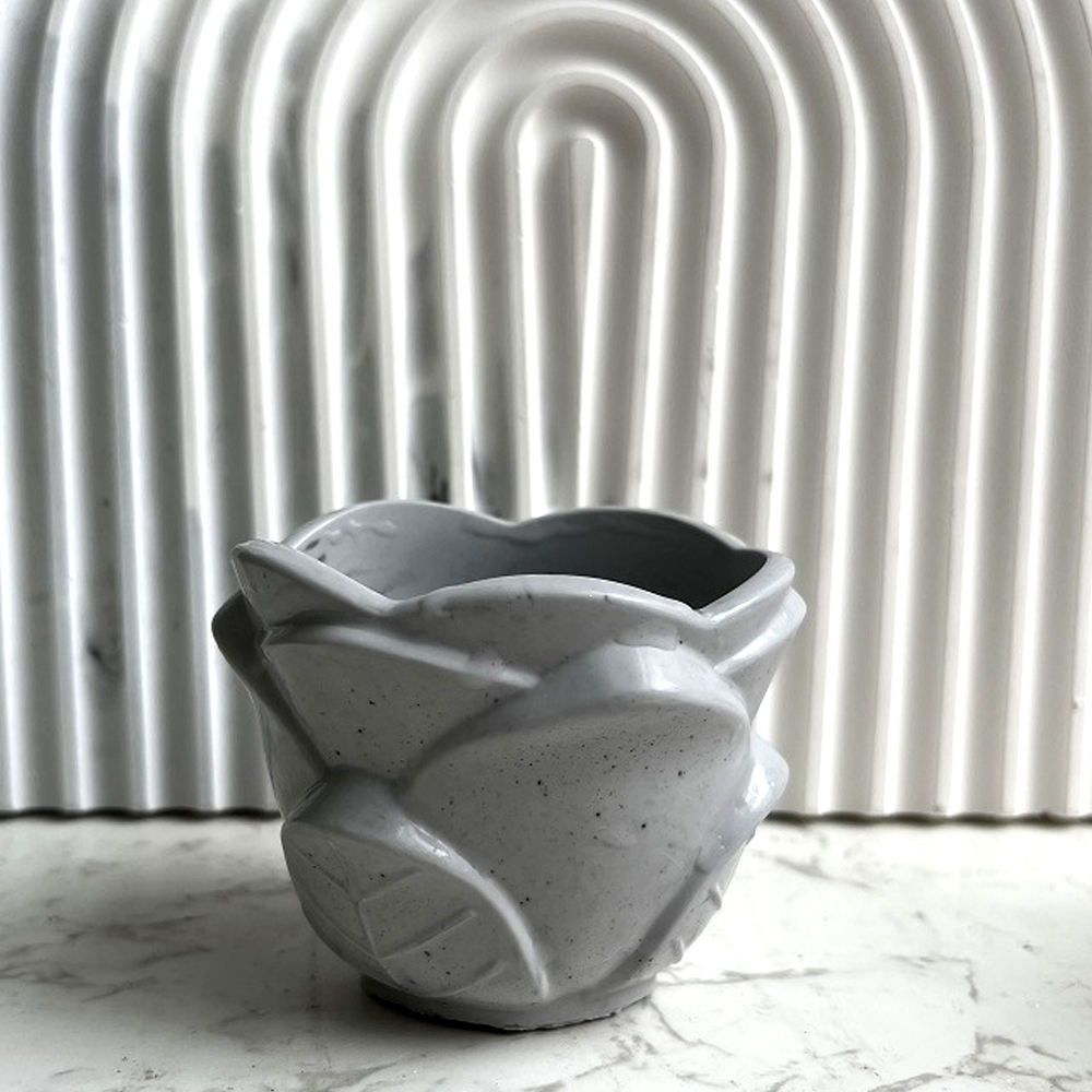 Moule en Silicone pour jardini - Potsticker Mold avis et prix